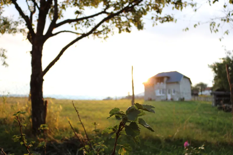 Your Backyard Has a Flavor Fingerprint — And Your Peaches Are Proof