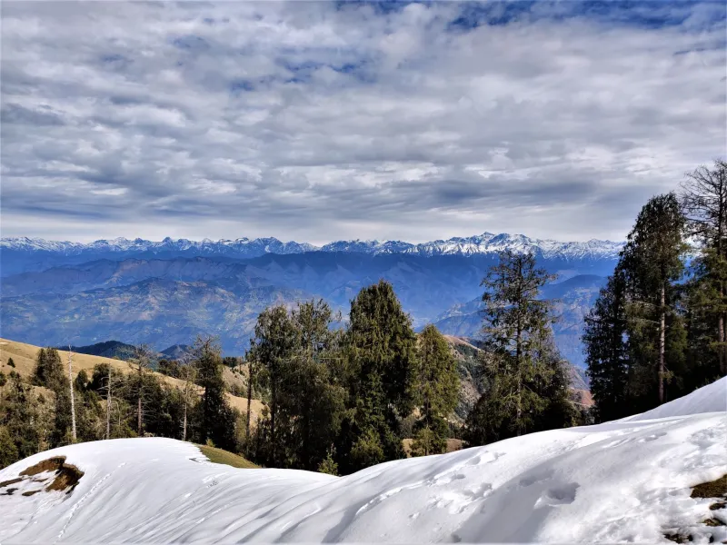 Altitude Is Everything: How Himalayan Growing Conditions Create Peaches That Cook Differently Than Anything You'll Find at the Grocery Store
