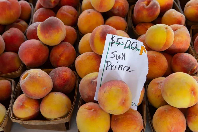 Cheap to Grow, Expensive to Buy: The Himalayan Peach Pricing Puzzle Playing Out at US Farmers Markets
