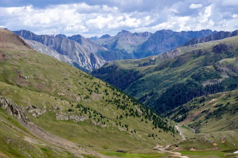 Same Seed, Wildly Different Peach: How Your ZIP Code Is Quietly Rewriting Himalayan Flavor