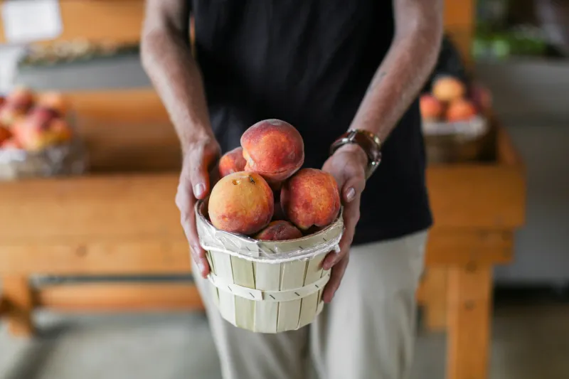 Thriving in Your Backyard, Stuck at the Gate: Why Himalayan Peach Varieties Can't Make the Jump to Market