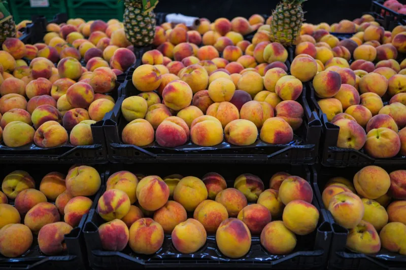 Beloved in the Kitchen, Invisible at the Farm Stand: The Strange Double Life of Himalayan Peaches in America